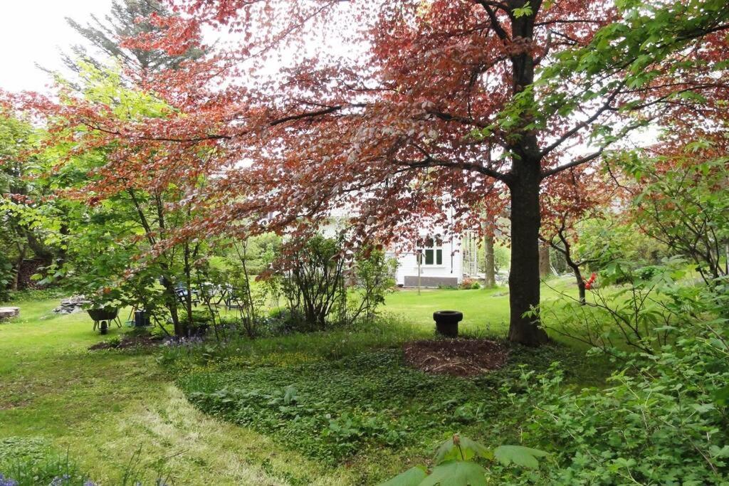 Charming Flat In Cosy Farmhouse Skudeneshavn 외부 사진