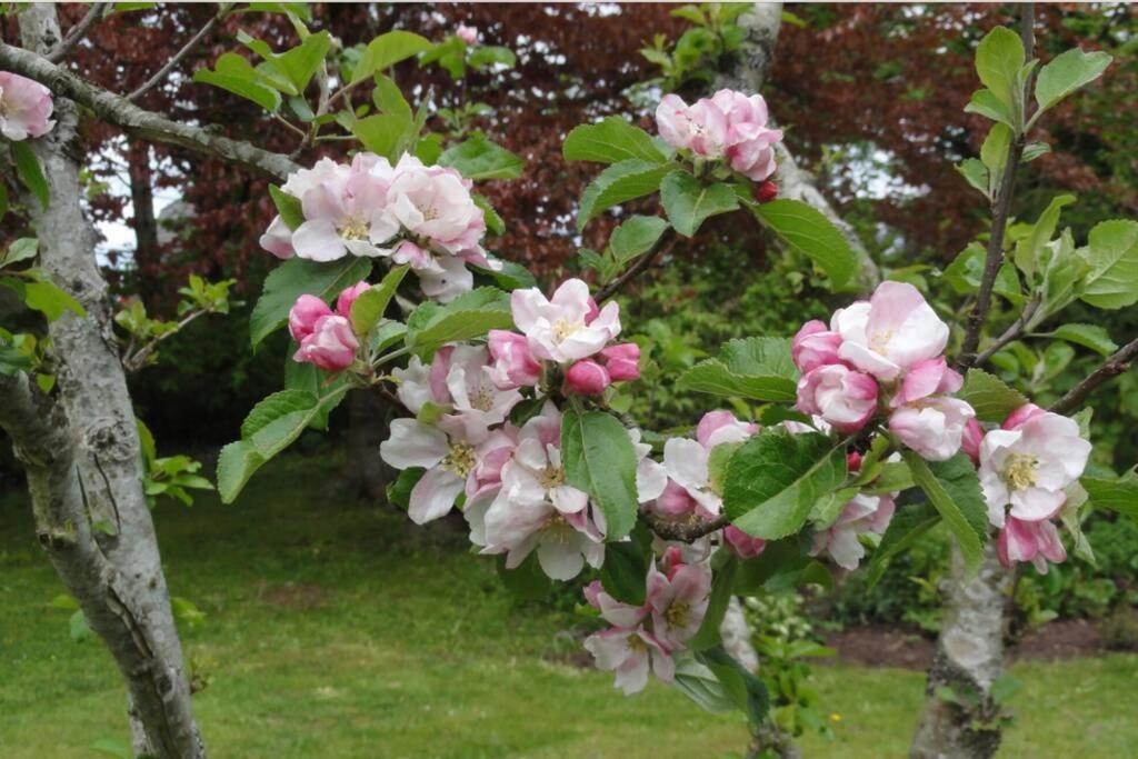 Charming Flat In Cosy Farmhouse Skudeneshavn 외부 사진
